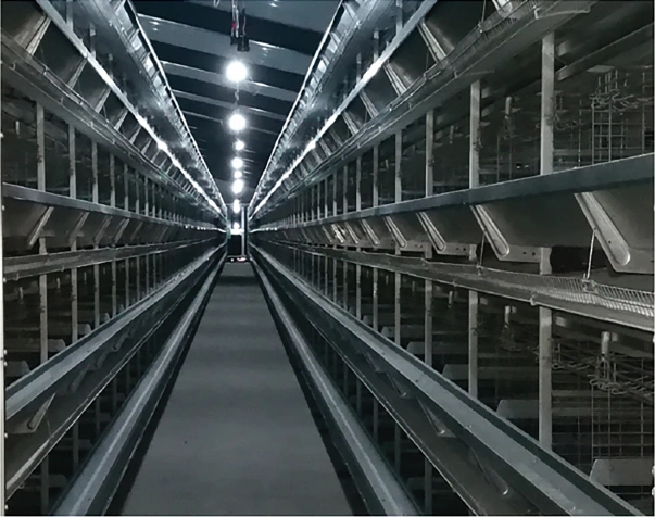 FEEDING SYSTEM