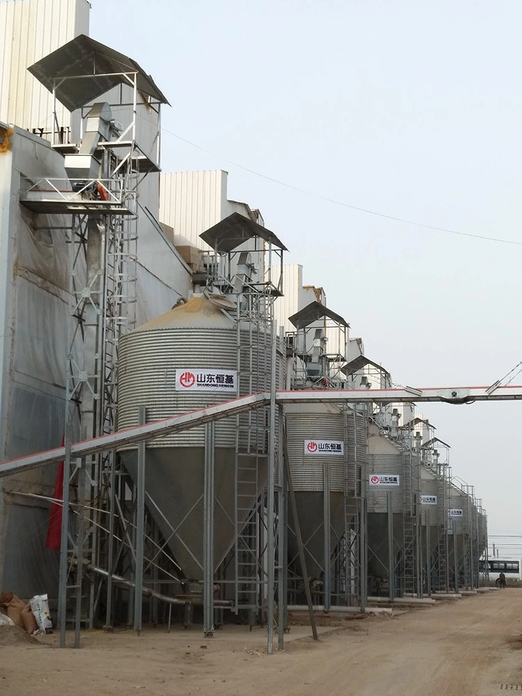 FEEDING SYSTEM