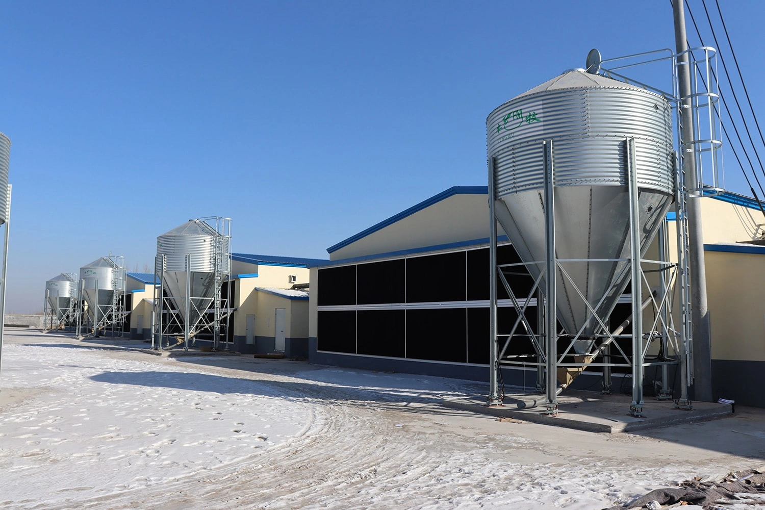 FEEDING SYSTEM
