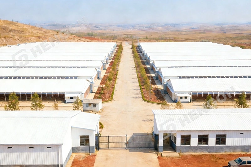 1767780414552356.webp 图片6 拷贝.webp