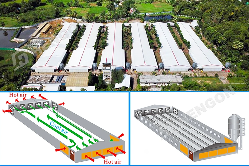 What Is Steelwork for Poultry Farm Buildings?